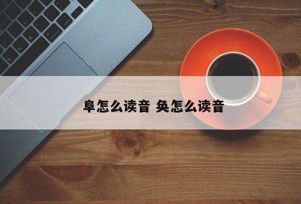 阜怎么讀什么意思(阜這個(gè)字怎么讀音是什么)