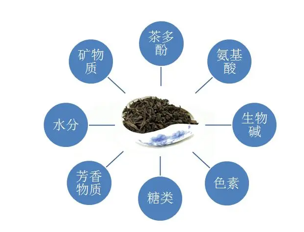 喝茶對人的身體有什么好處嗎？什么人不能喝茶？